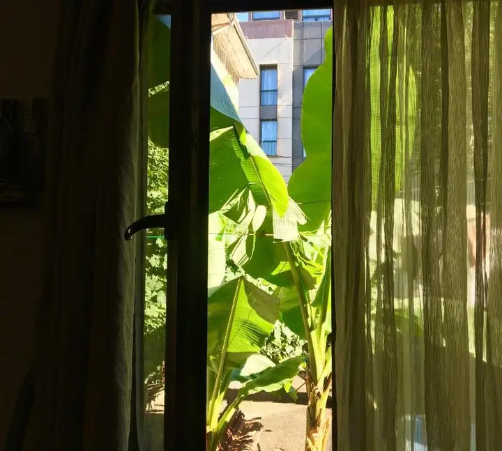 Тбилиси: Sofi's House in Heart of Tbilisi