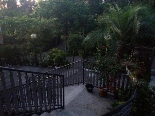 Батуми: Gulnara Guest House
