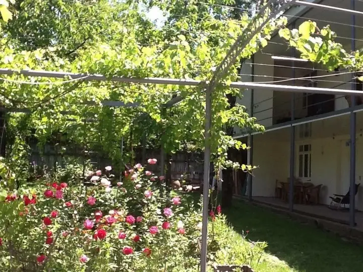 Тбилиси: Guest House Mukha