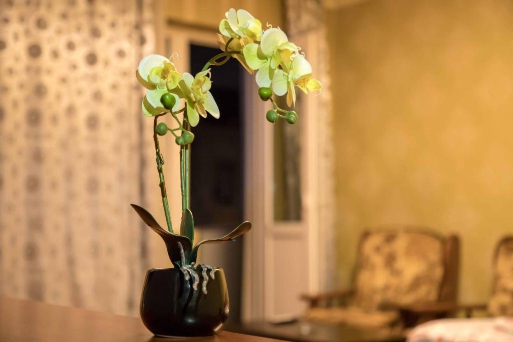 Тбилиси: MyRooms Mitskevich Apartments