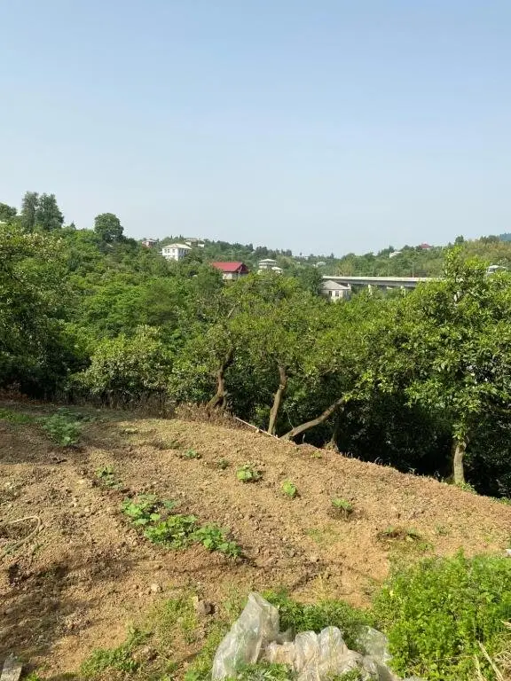 Букнари: home for sale