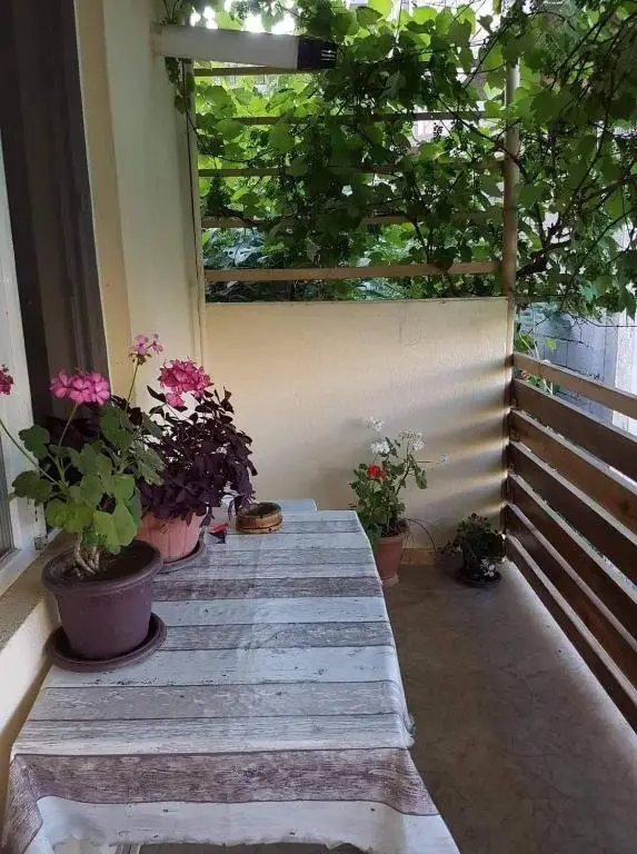 Кобулети: Home qobuleti