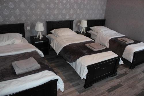 Степанцминда: Guesthouse Elia