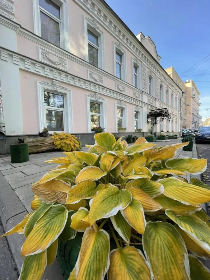 Москва: Mila Guest House