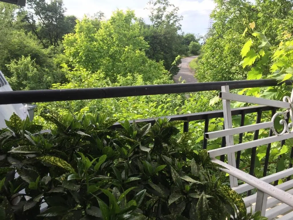 Телави: Nino's Veranda Apartment