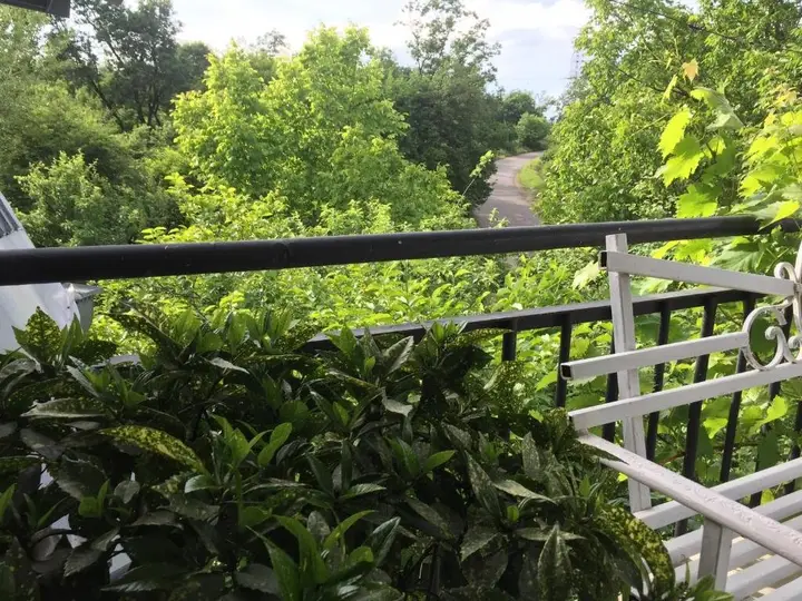 Телави: Nino's Veranda Apartment