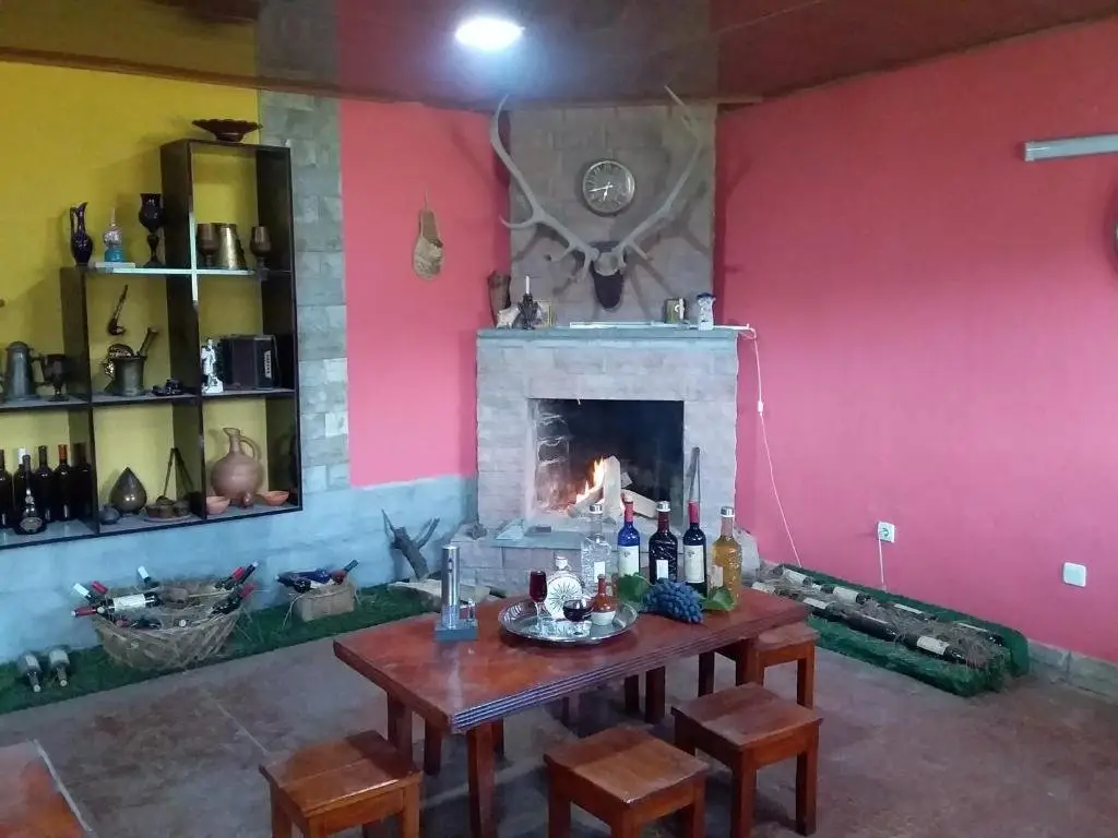 Кутаиси: Art House Hostel Aleksandr