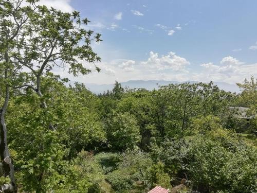 Кобулети: Guest House Sofia