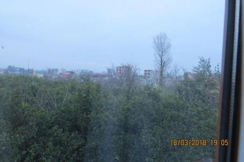 Батуми: House Nika