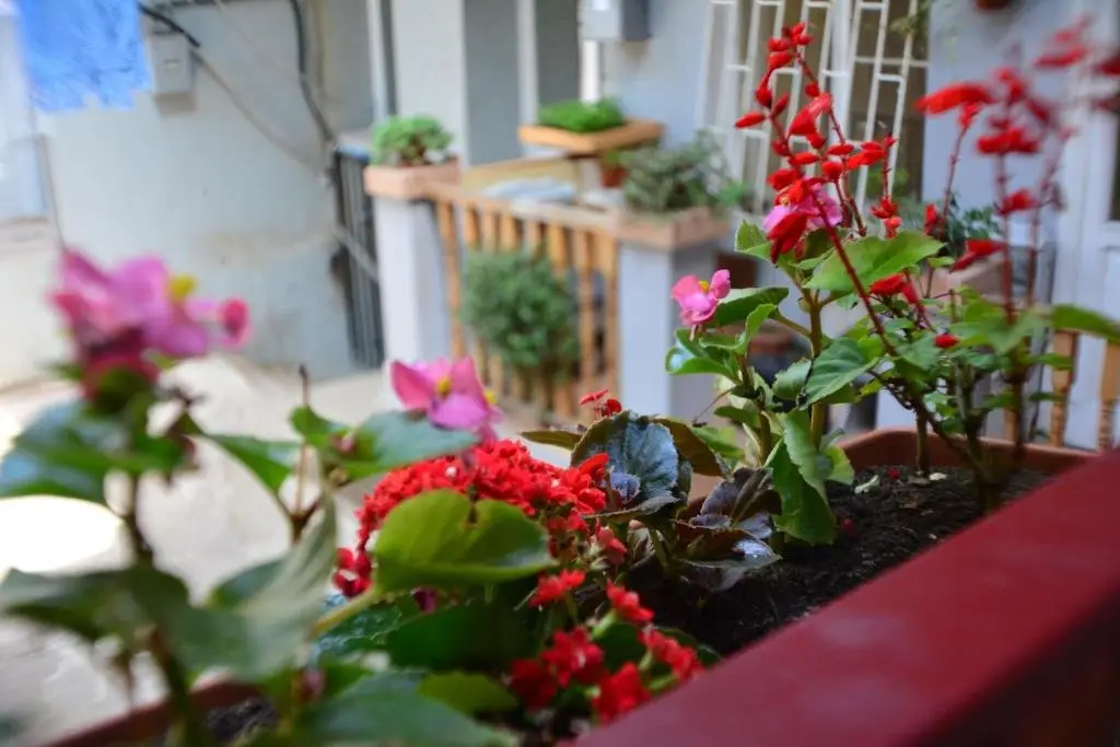 Тбилиси: "Stumari" Apartaments