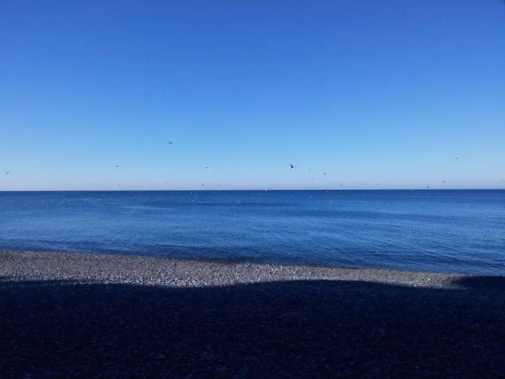 Кобулети: Seaside House Kobuleti