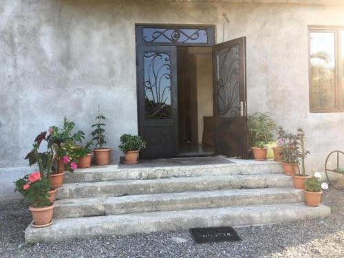 Батуми: Liza Guest House