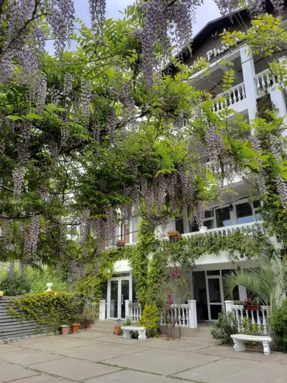 Новый Афон: Hotel Phanakopi