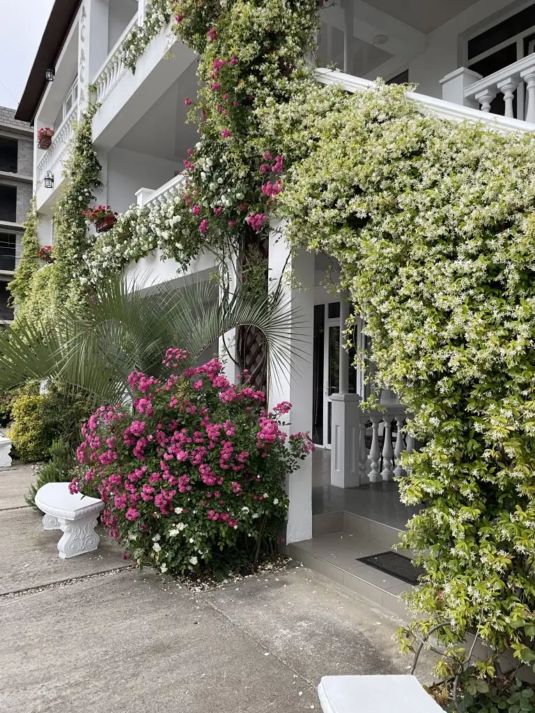 Новый Афон: Hotel Phanakopi