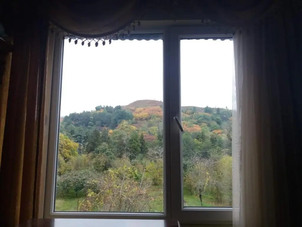Букнари: Guets house Chakvi