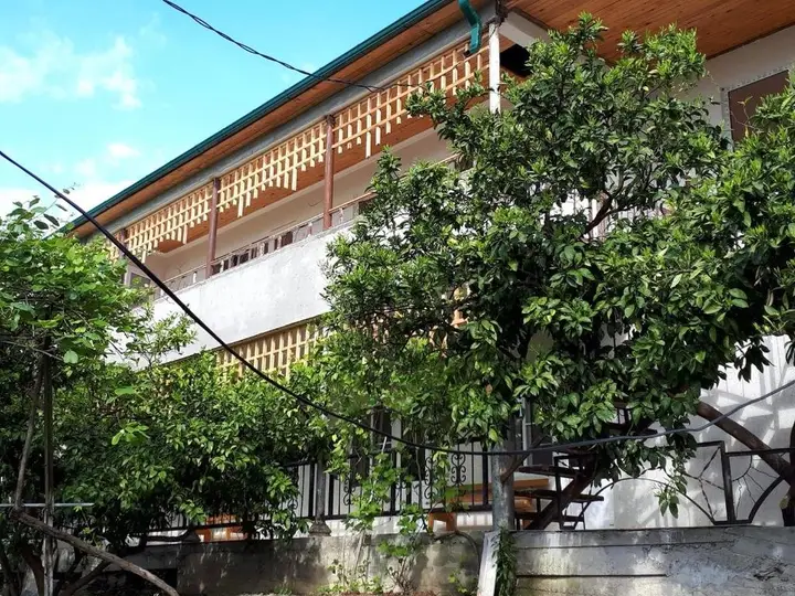 Новый Афон: Inzhir Guest house