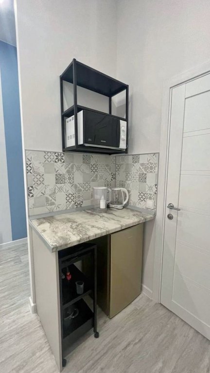 Санкт-Петербург: Апартаменты StayHome Zhukovskogo Couple