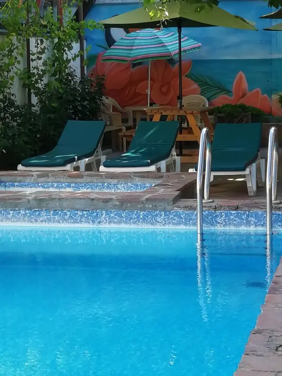 Витязево: Delfiniya Guest House