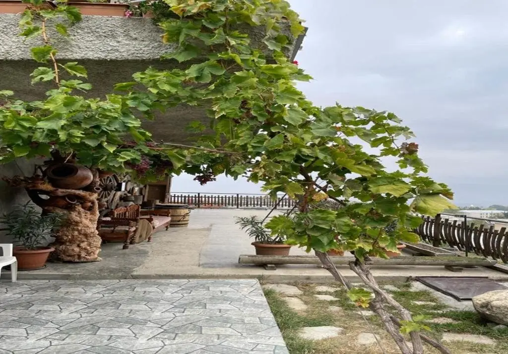 Телави: Dimitri Wine House HOTEL