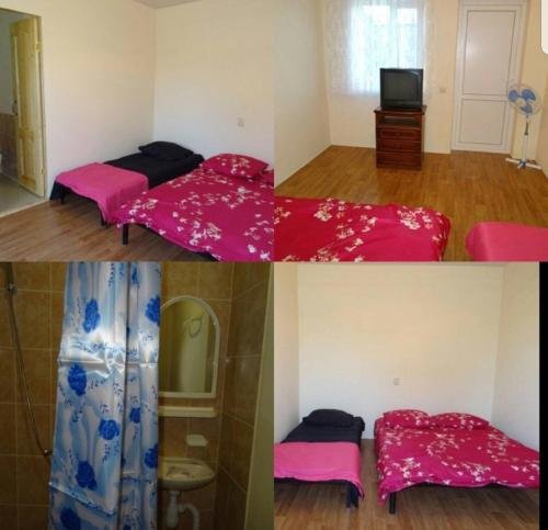 Цкуара: Guest house VID