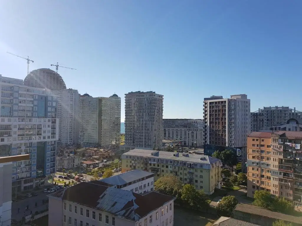 Батуми: APT on Gorgasali 156