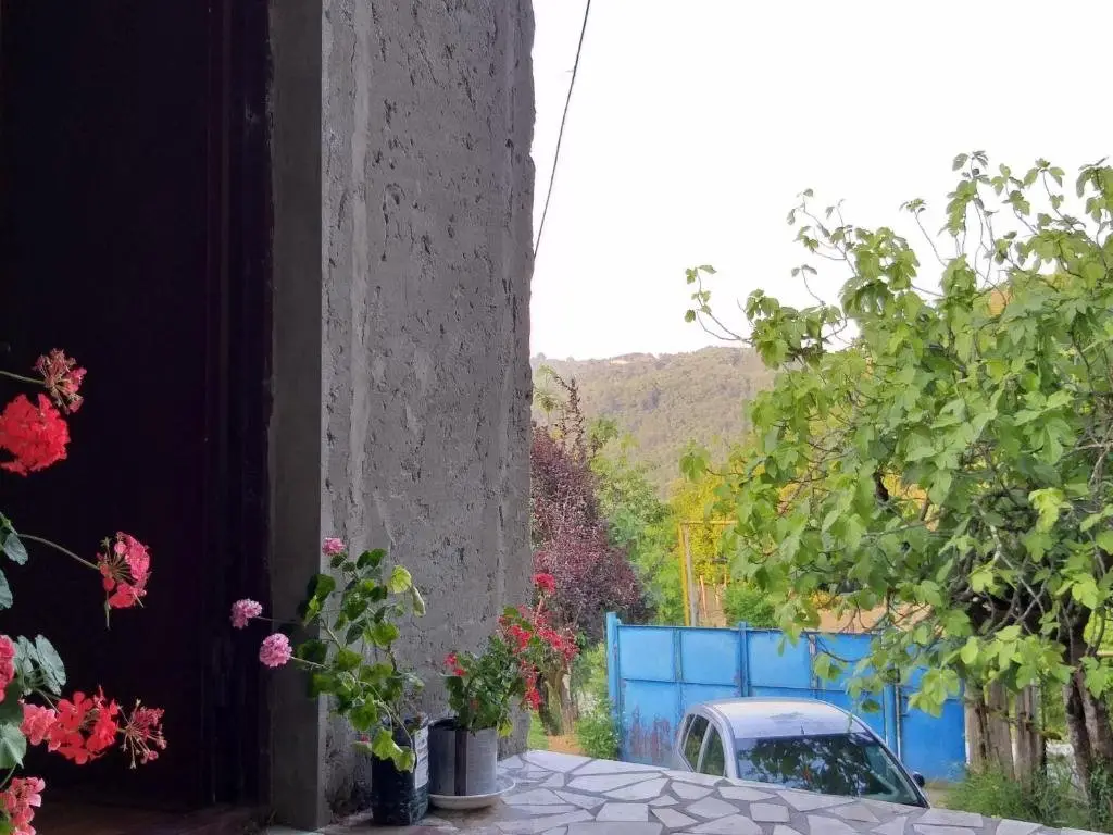 Кутаиси: Guesthouse Lady