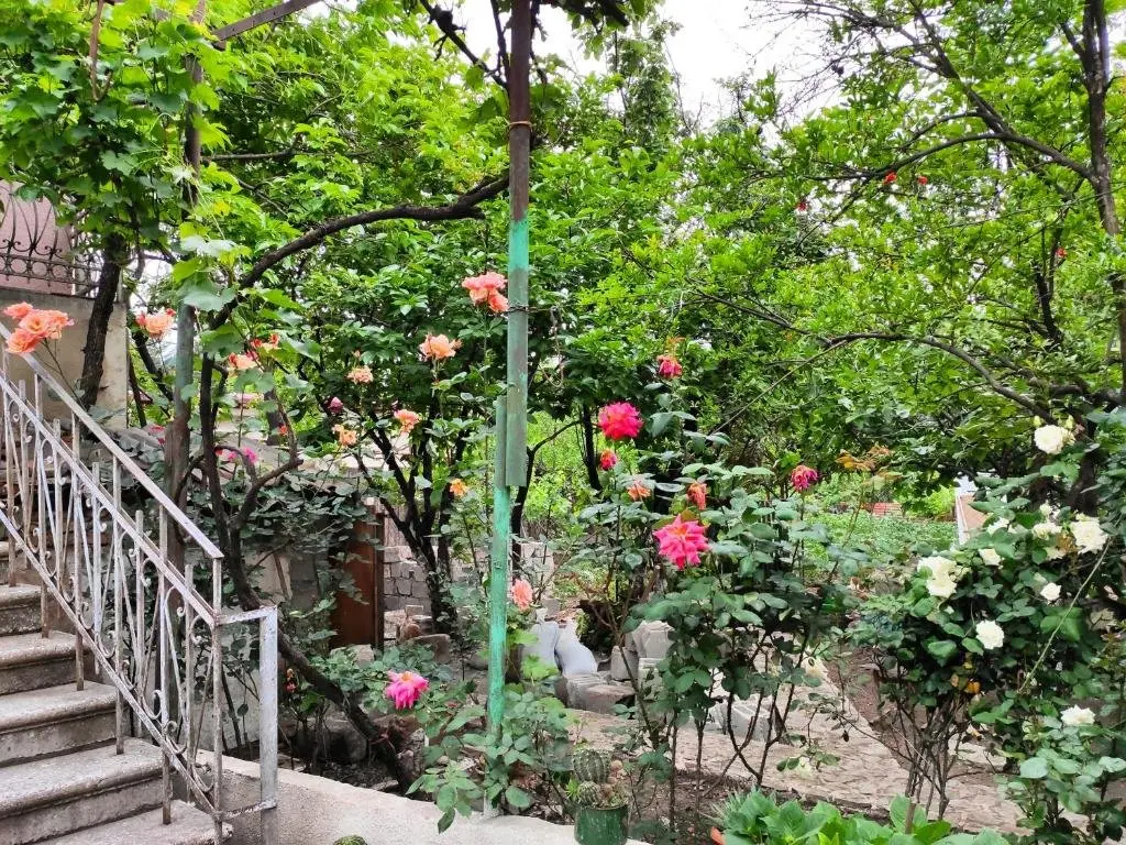 Тбилиси: Guesthouse TTT