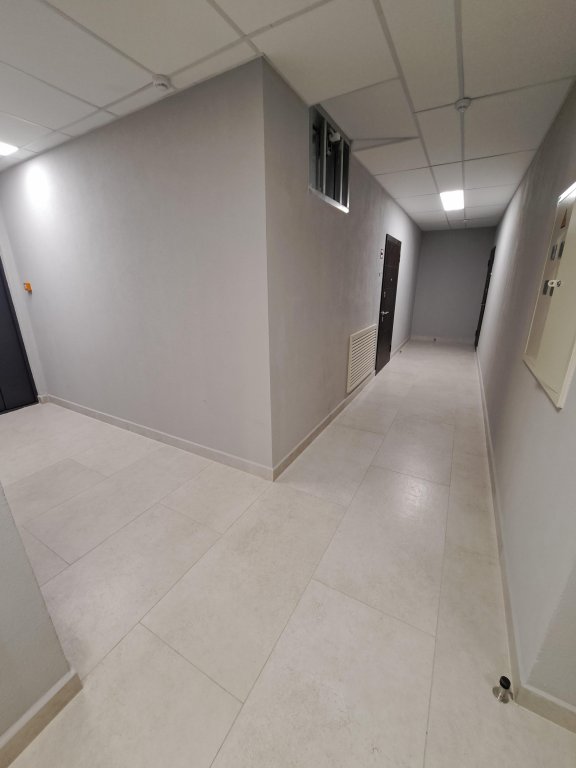 Санкт-Петербург: Апартаменты Квартира комфорт-класса СПб Аренда Rental housing