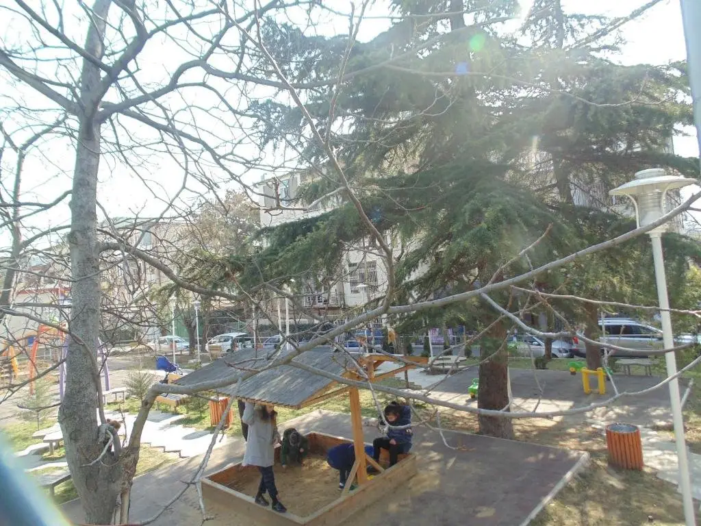 Entire Apartment In The Park Near Metro Delisi — фото 1