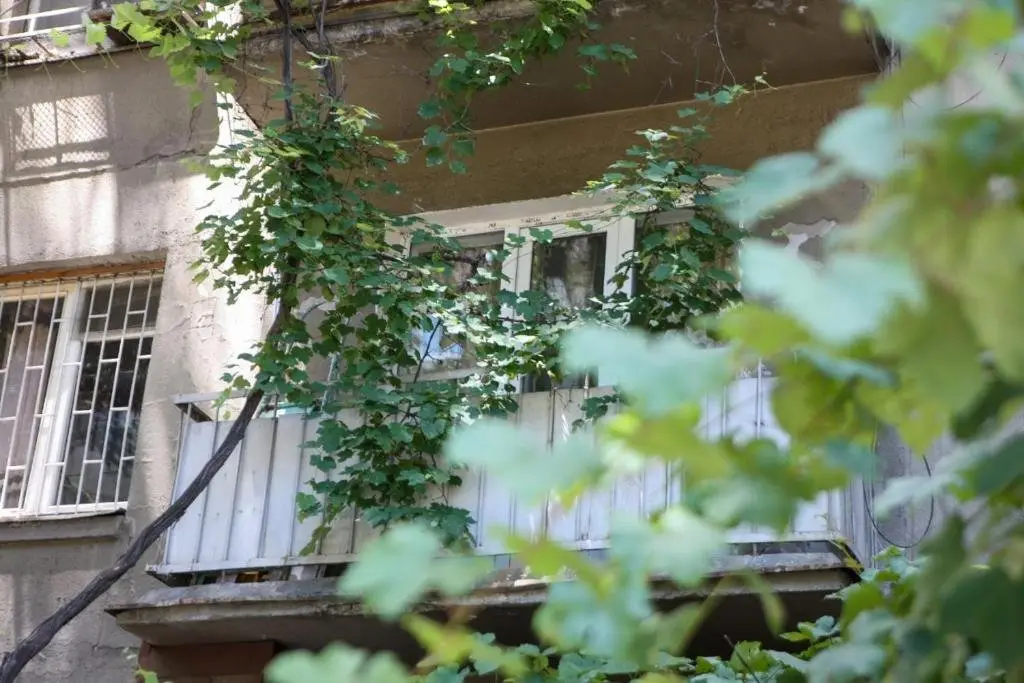 Тбилиси: Alex's Apartment