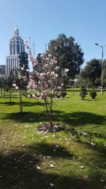 Батуми: Best Sea View Batumi