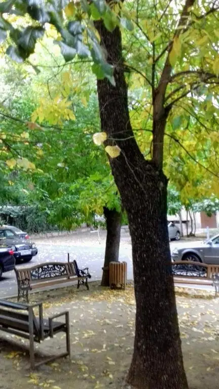 Тбилиси: 2.5 rooms cozy apartment in modern Tbilisi