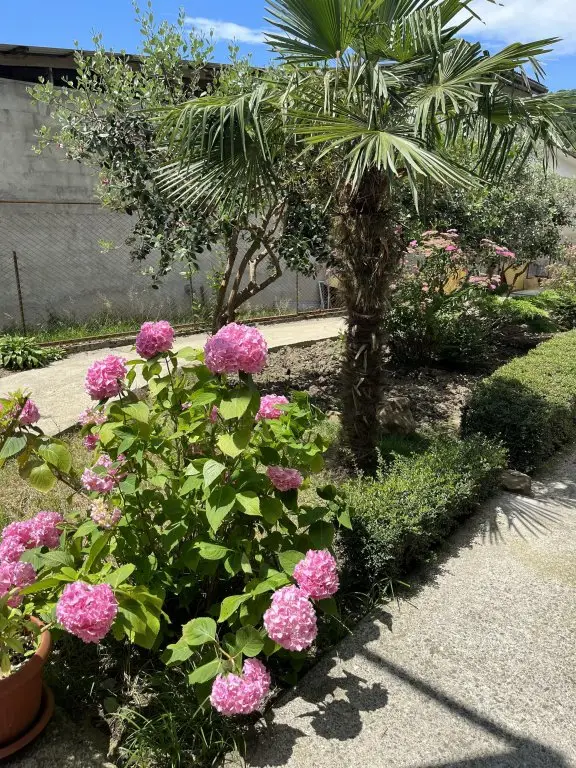 Сочи: Гостевой дом Green House
