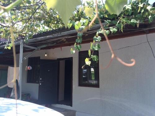 Гагра: Guesthouse U Bori