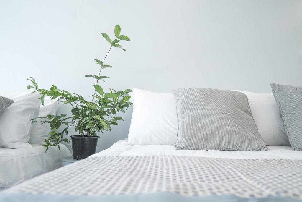 Чиангмай: Cozy House In The City Of Chiang Mai