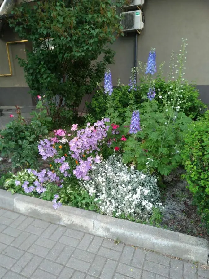 Калининград: Central apartments