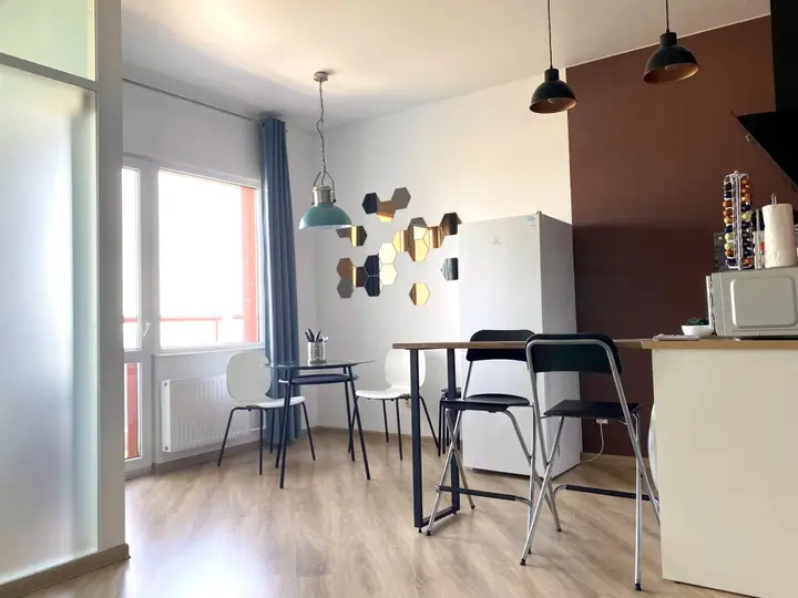 Петрозаводск: Апартаменты Panoramic Apartment