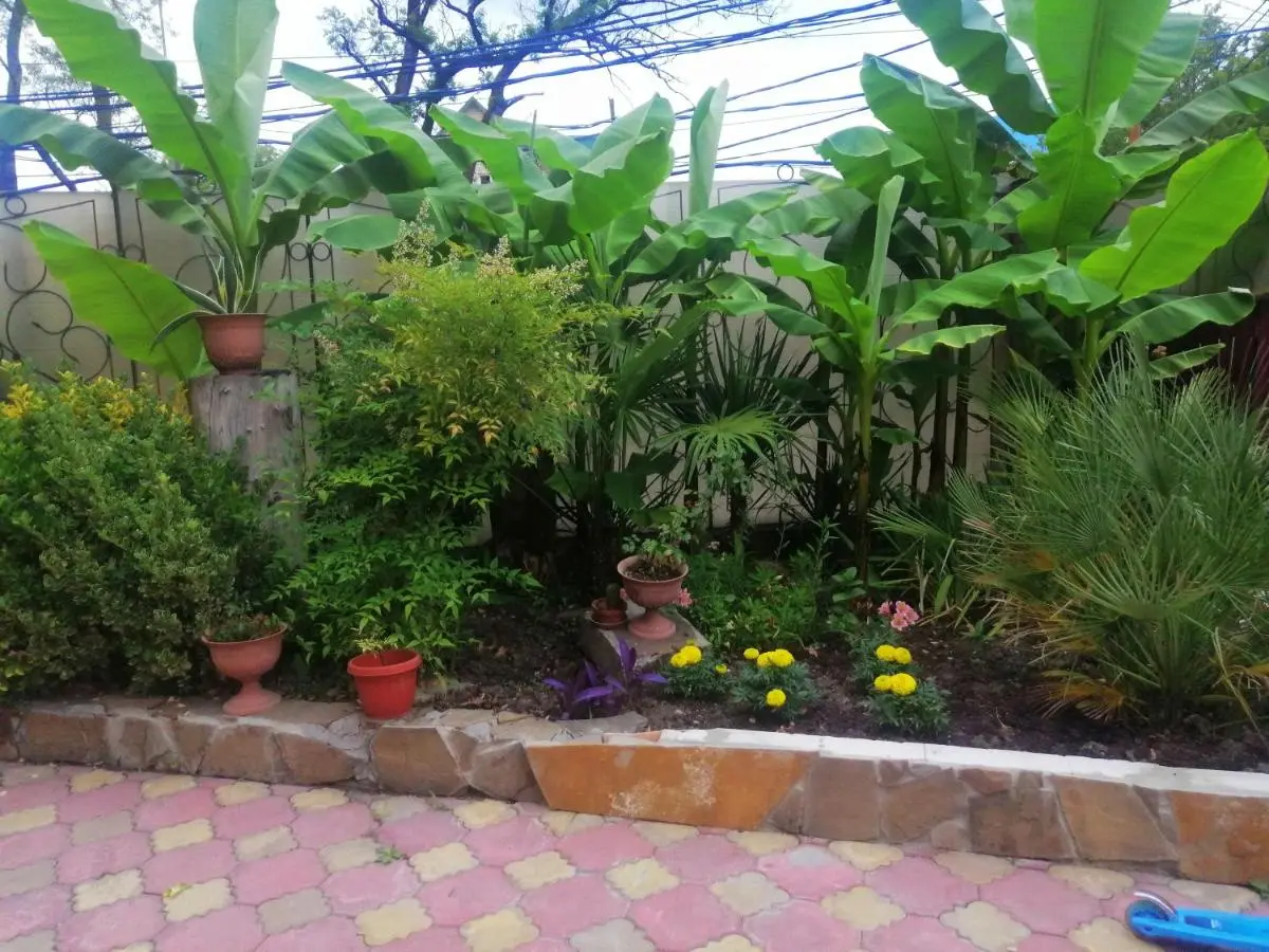 Вардане: Guest House Aton