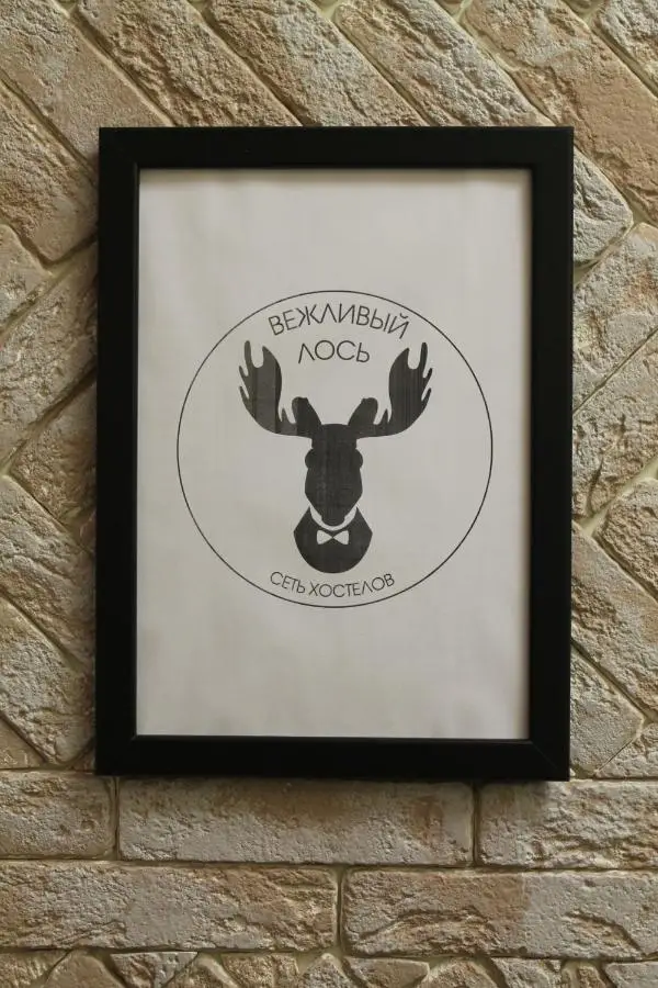 Москва: Hostel Polite Elk Savelovsky