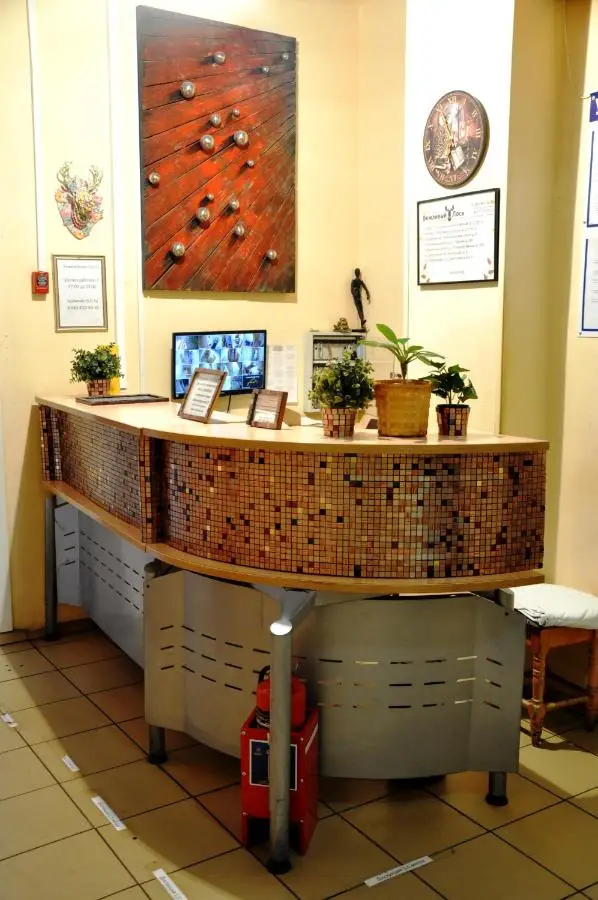 Москва: Hostel Polite Elk Voykovskaya