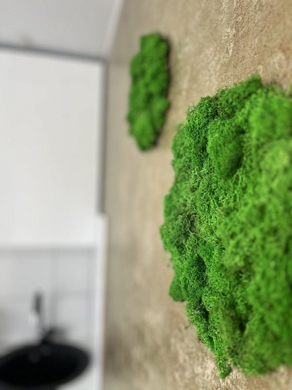Саратов: Апартаменты Skazka Green House
