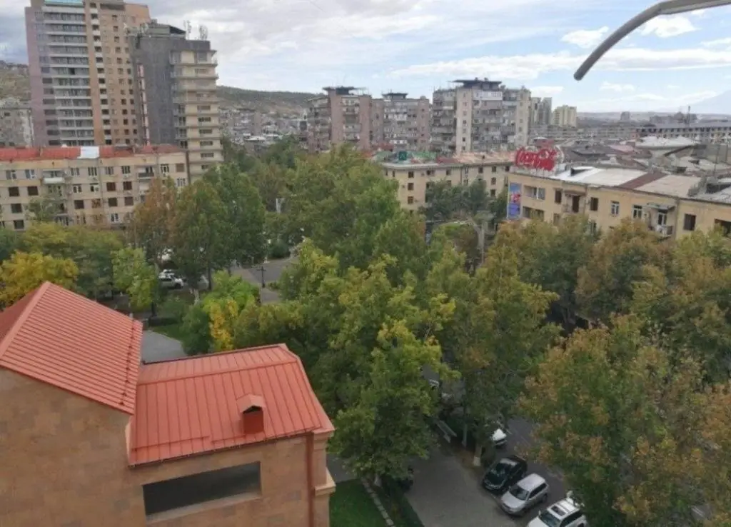 Ереван: Sunny apartment on Sayat-Nova Avenue & Tours
