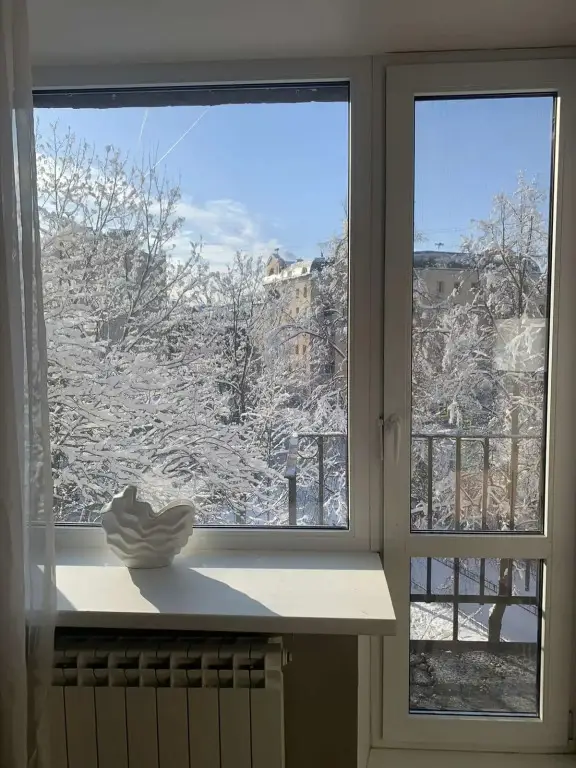 Двухкомнатная квартира Комфорт на Петроградке — фото 1
