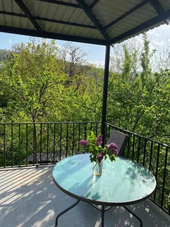 Сигнахи: Guest House Sarajishvilze