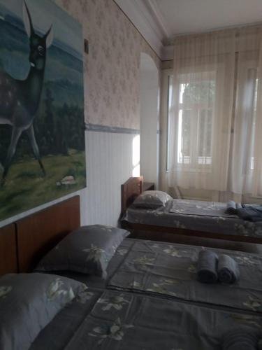 Сигнахи: Guest House Sarajishvili