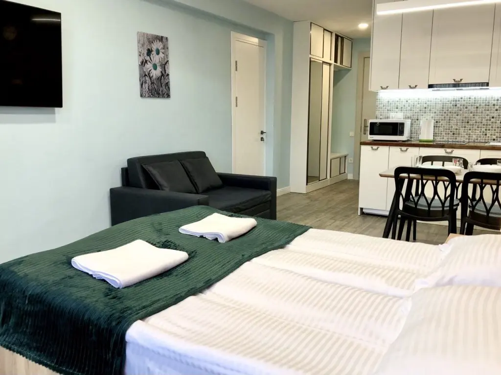 Гудаури: Апартаменты 2 room Apartment NFT New Gudauri Atrium Suite