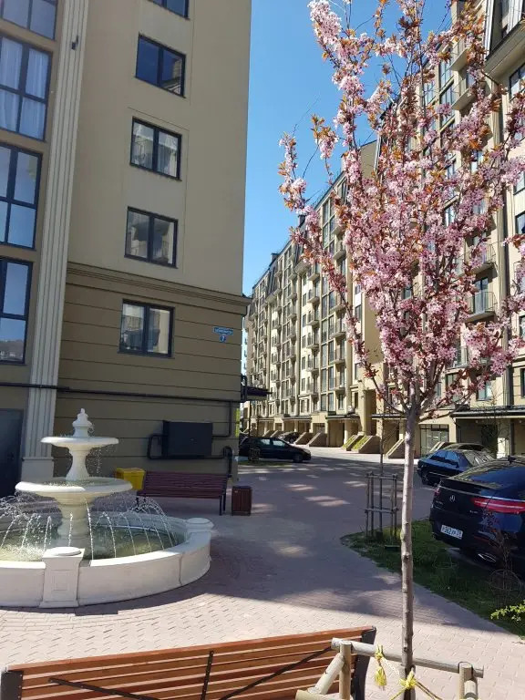 Зеленоградск: Квартира Кранц-Престиж в Центре Зеленоградска