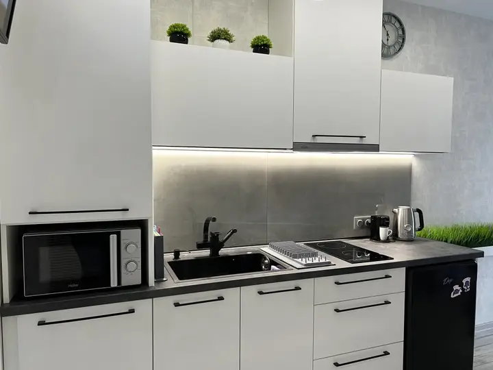 Светлогорск: Квартира Svetlogorsk Apartments