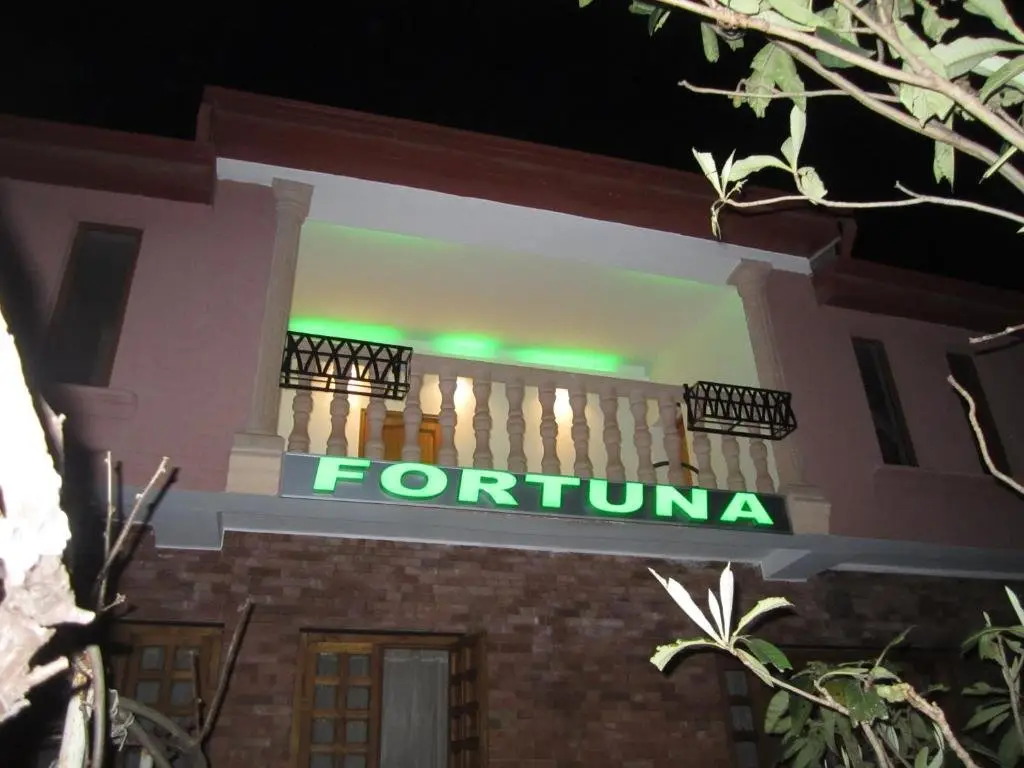Кутаиси: Fortuna Palms