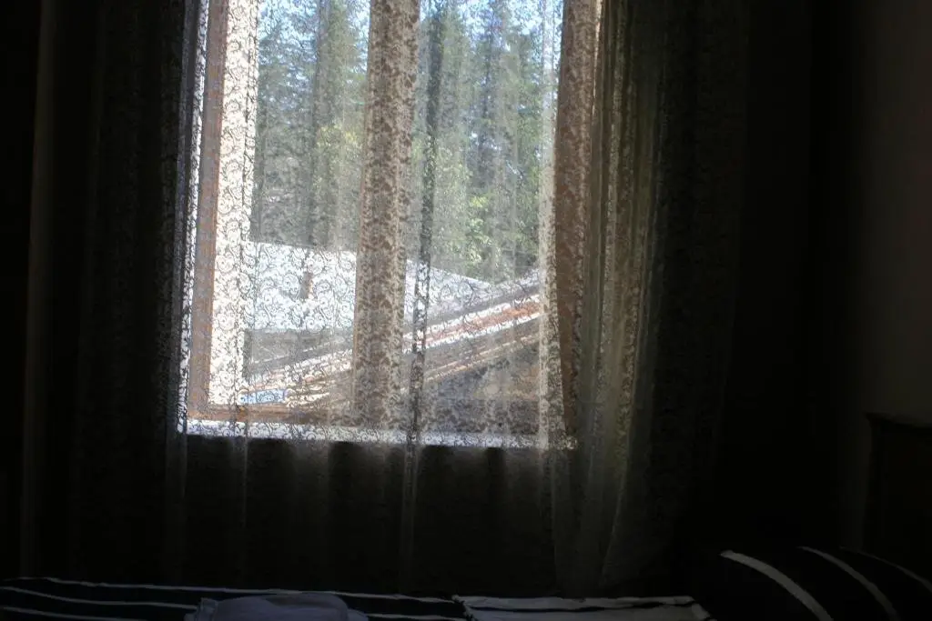 Кутаиси: Guest House Andamati